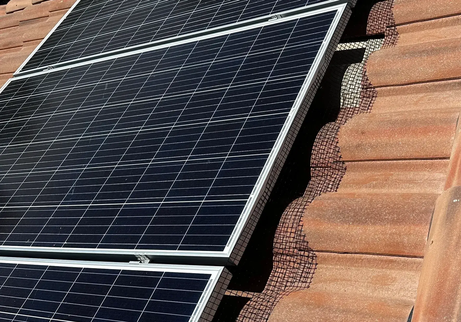 rs=w_2480,h_1240,cg_true